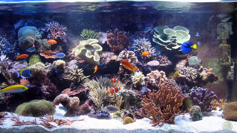 Dez. 2010 von MartinS (11)