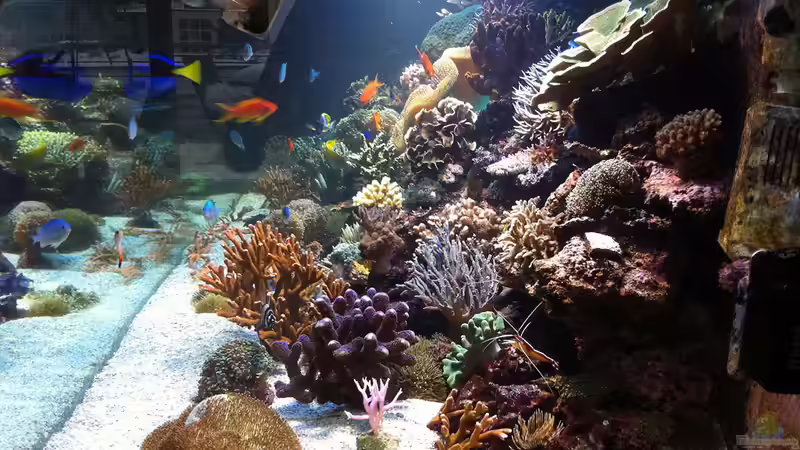 Dez. 2010 von MartinS (13)