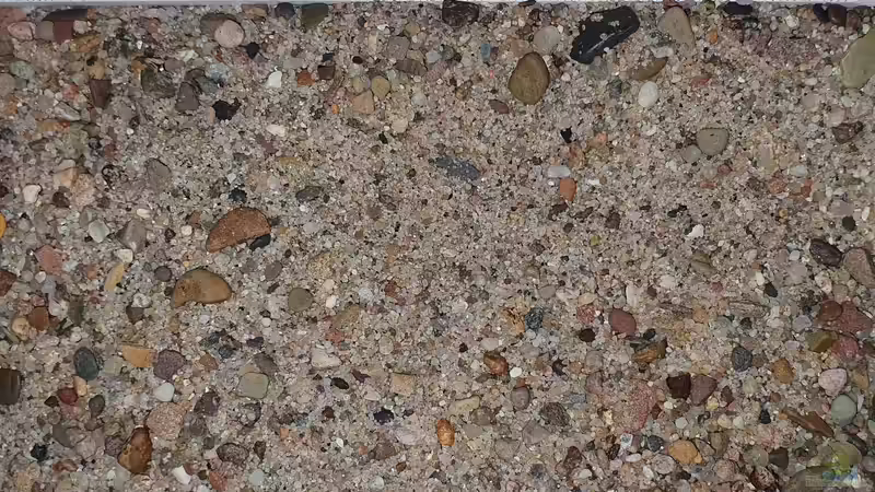 Dez 20 - Gemisch aus Wesersand und Kies von ravaka (25)