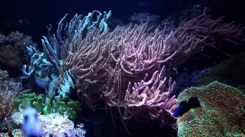 Dez 2017 von Kerstin Aßlaber (3)