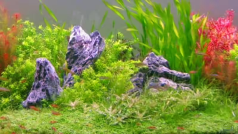 Dezember 09 mit neuen Steinen von Mel&Marc (5)