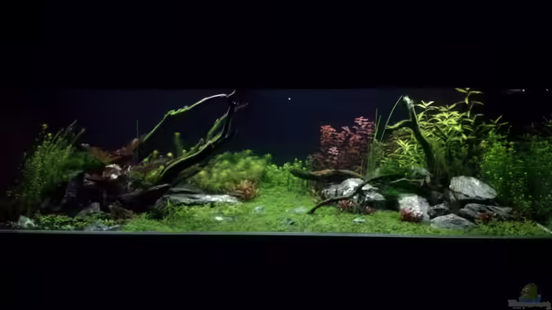 Dezember 18 von Niederbayer_Andee (1)