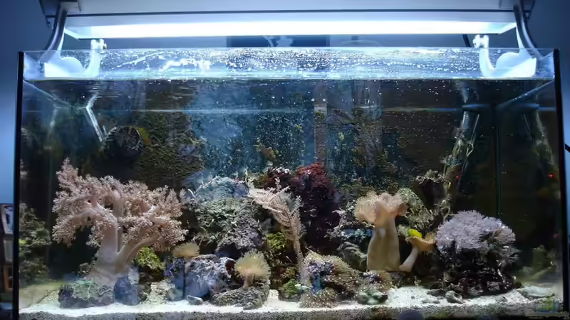 Dezember 2010 von Jane Vogeler (4)