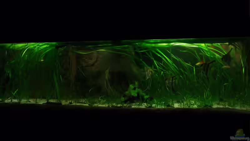 Dezember 2012 von PH Neutral (8)