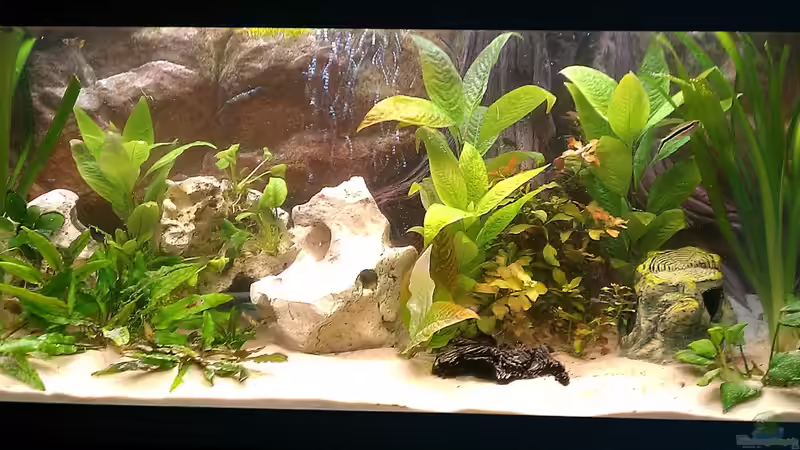 Dezember 2012 von Steph Anie (4)