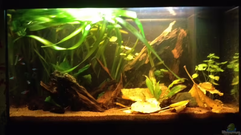 Dezember 2013 von der Steirer (8)