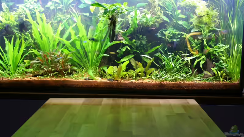 Dezember 2013 von Steven Müller (3)