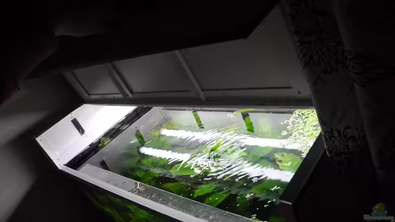 Dezember 2014 -  Und funktioniert! von DasJin (10)