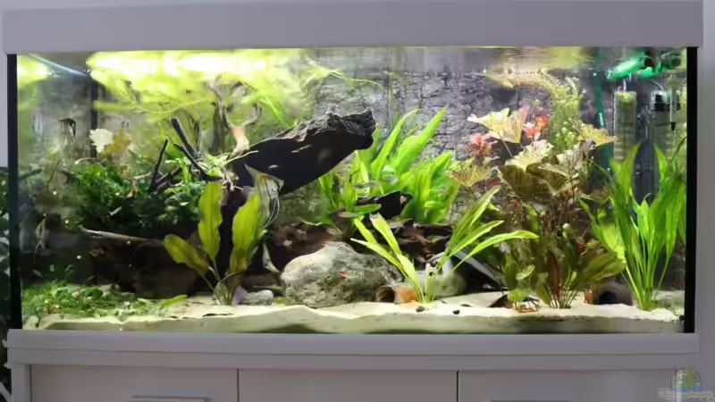 Dezember 2014 von Fäbi_CH (4)