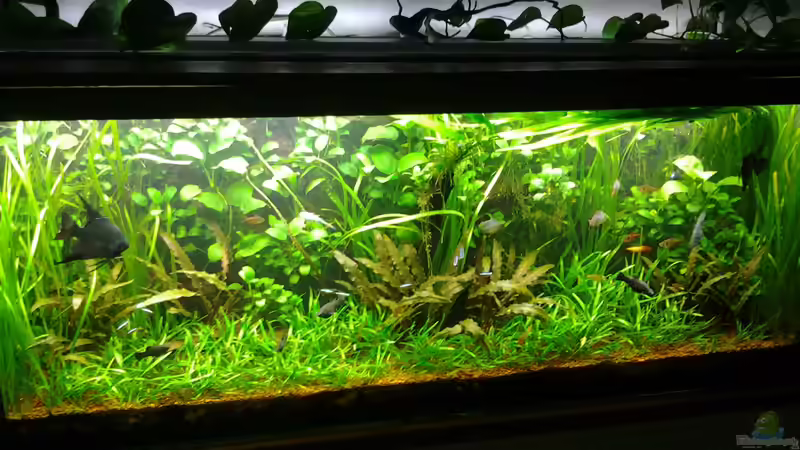 Dezember 2014 von Steven Müller (7)