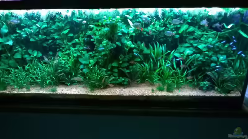 Dezember 2015 von Steven Müller (13)