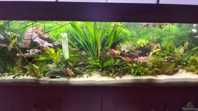 Dezember 2019 von Frank Krüger (4)