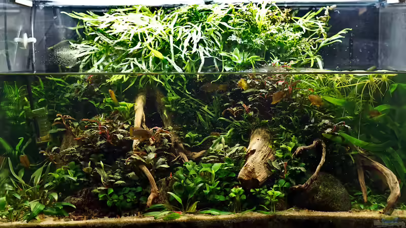 Dezember 2019 von Micha... (18)