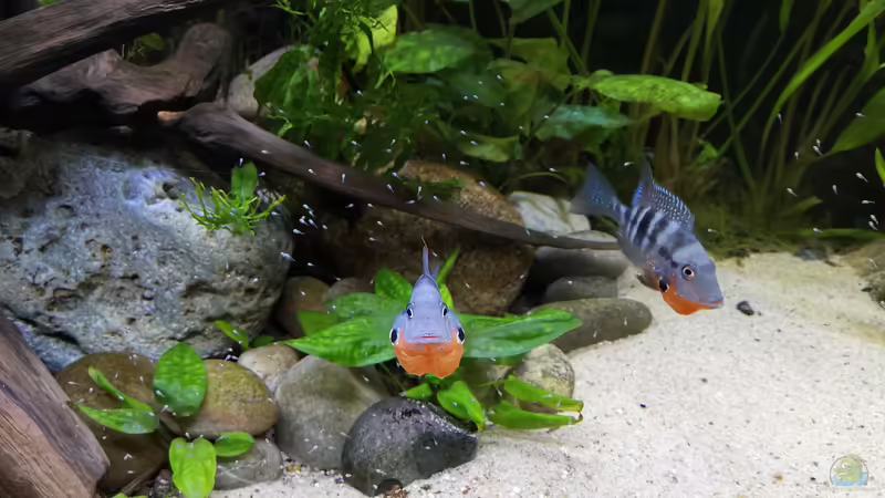 Dezember 2020 von ~Marco~ (61)