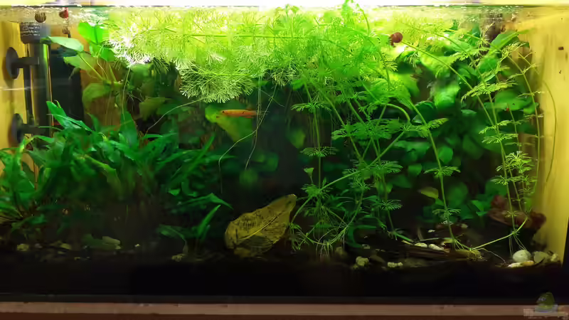 Dezember 2022 von Roland Saager (3)