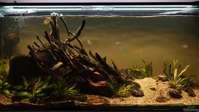 Dezember 2023 - 1.5 Jahre im Betrieb von Philip (14)