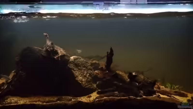 Dezember 2025 von Philip (1)