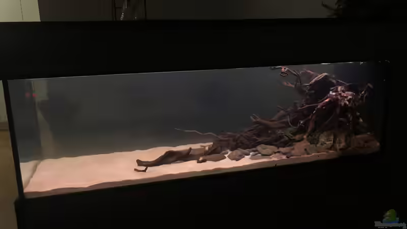 Dezember2020 von BlueWave (2)