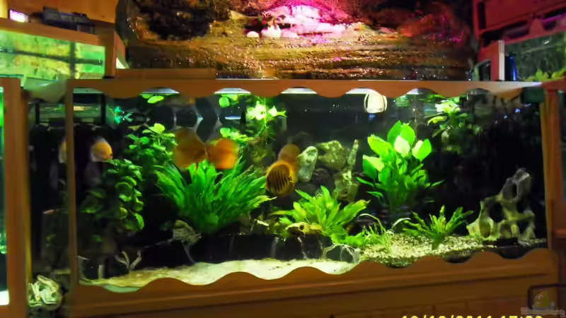 diagonal 900er von Ulrich Sauerhering (7)