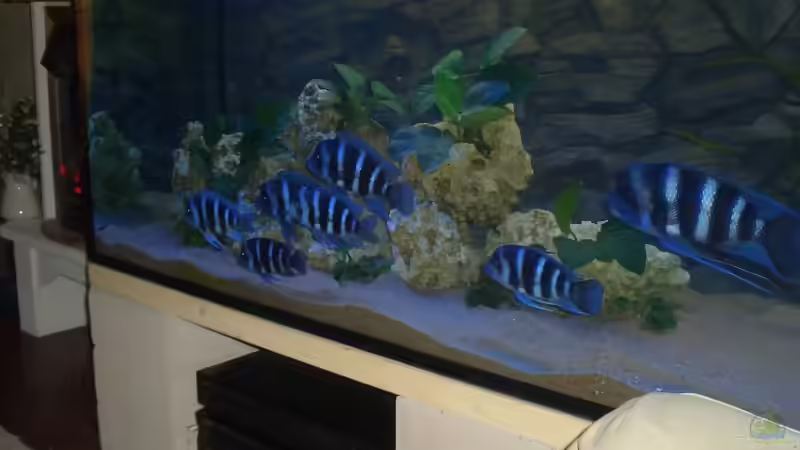 Diagonal von Alfred Hahn (2)