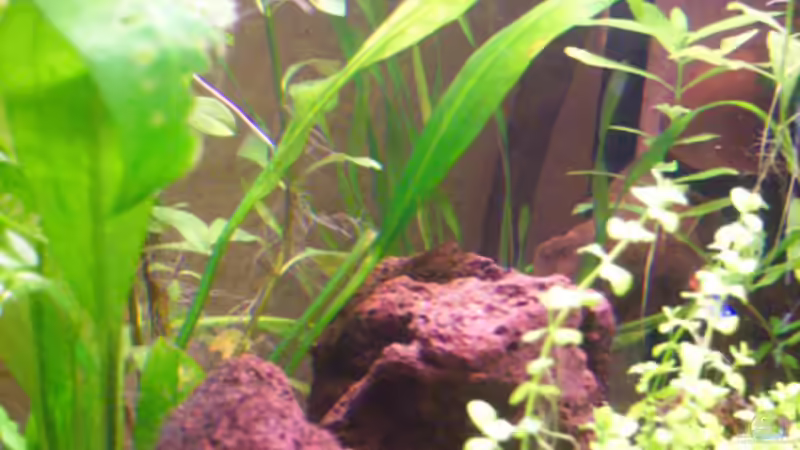 Diagonal von links schauend von Natalie de Vries (2)