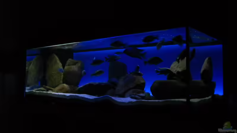 Diagonalansicht Komplettbeleuchtung von Oeli (50)