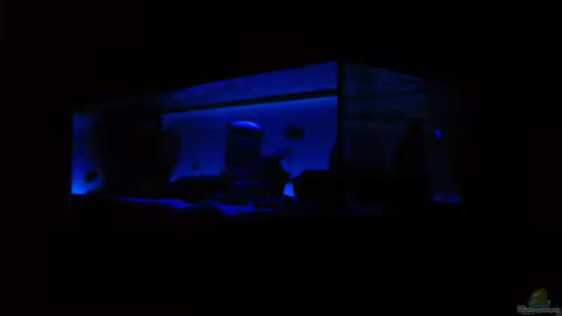 Diagonalansicht ML + Hintergrundbeleuchtung von Oeli (46)