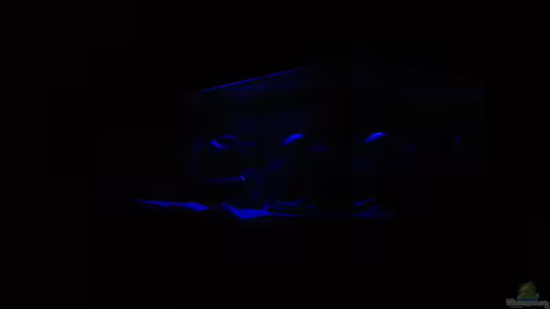 Diagonalansicht Mondlichtbeleuchtung von Oeli (44)