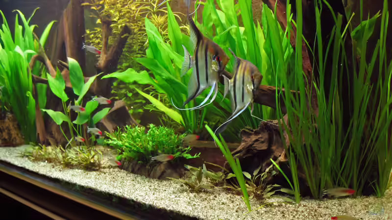 Diagonale (02.11.08) von Klaus Kastl (21)