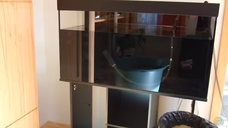 Dichteversuch beim 2. Einrichtungsversuch - bei diesem Becken brach der Längssteg von Oberoesterreicher (10)