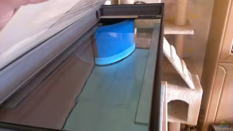 Dichtheitsprobe von raubsau (14)