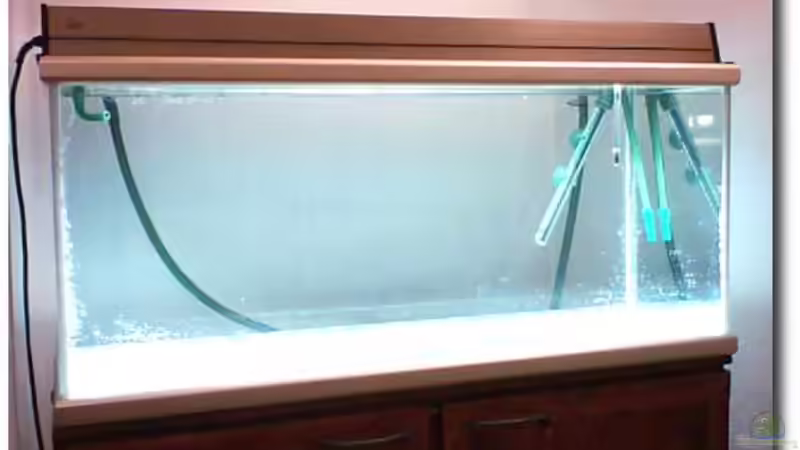 Dichtigkeitsprobe von ehemaliger User (1)