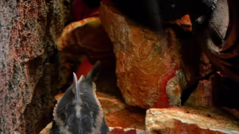 Dicke Kumpels ??? von GGuardiaNN (78)