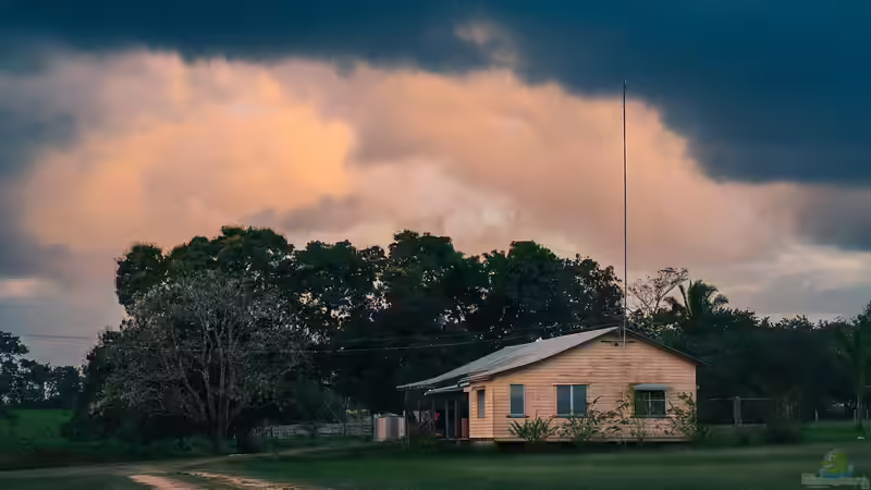 Die 10 häufigsten Fehler bei der Gartenplanung