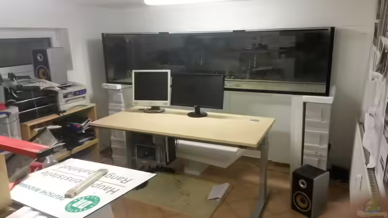 Die 2,50 Meter stehen hinter dem Arbeitstisch von Beulenkopftyp (1)