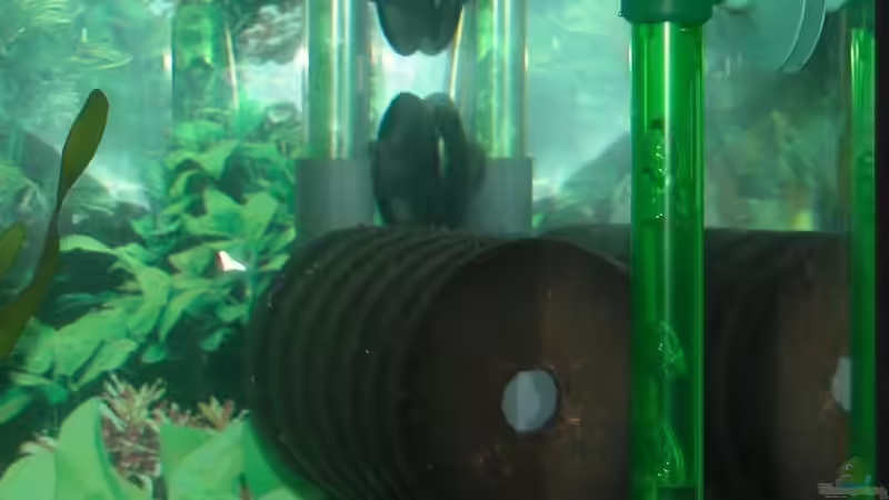 die 2 Luftheber... von Bastian Burger (13)