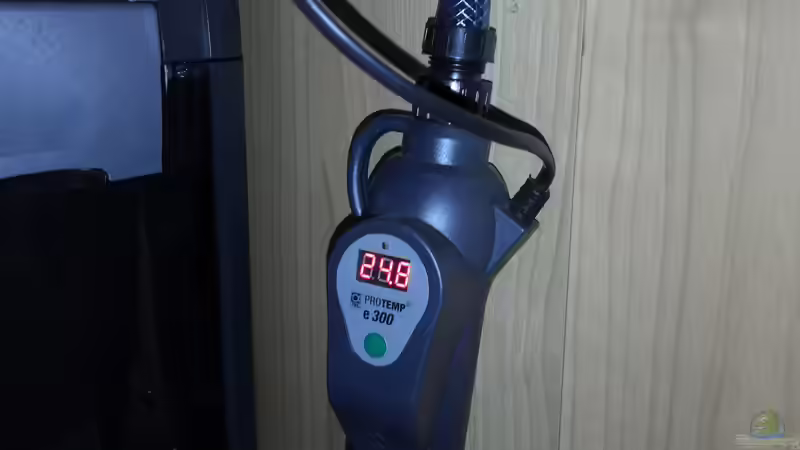 Die 5 beliebtesten Aquarium-Heizer 2023