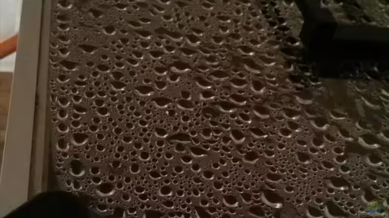 Die Abdeckung ist aus hobbyglas ,weil es schön federt ,und ich es passgenau schneiden von AquaTobi90 (41)