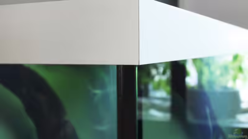 Die Abdeckung ist nur 5 cm hoch.  von Christian Büning (3)