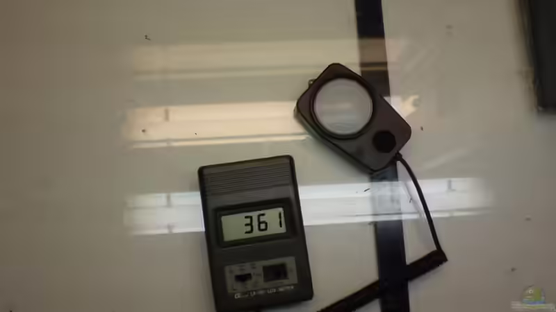 Die Abdeckung liegt auf dem Tanganjikabecken, der Wert muß mal 10 genommen werden: 3610 Lux von timme (25)