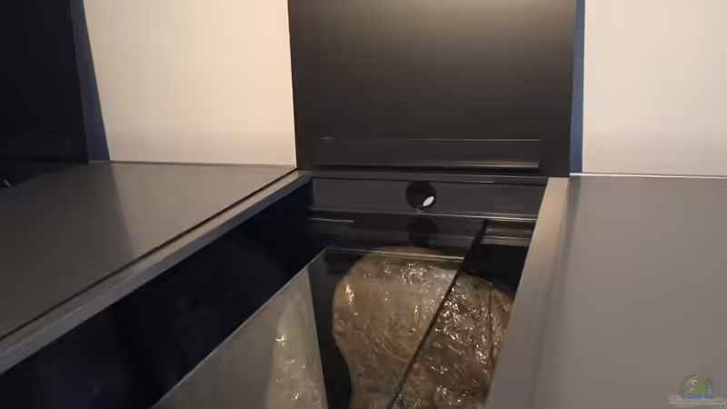 Die Abdeckung von TheToxicAvenger (24)