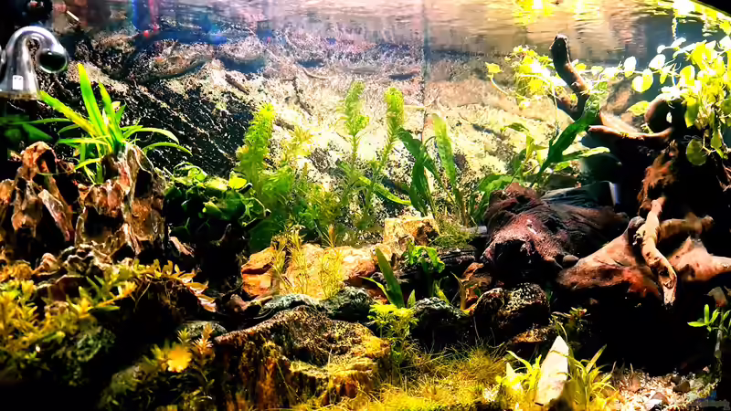 Die Abend Sonne :)  von Sven Schaefer (2)