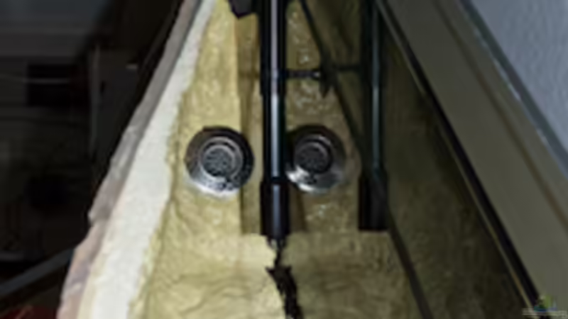 Die Absaugung und der Wassereinlass von Beni (10)