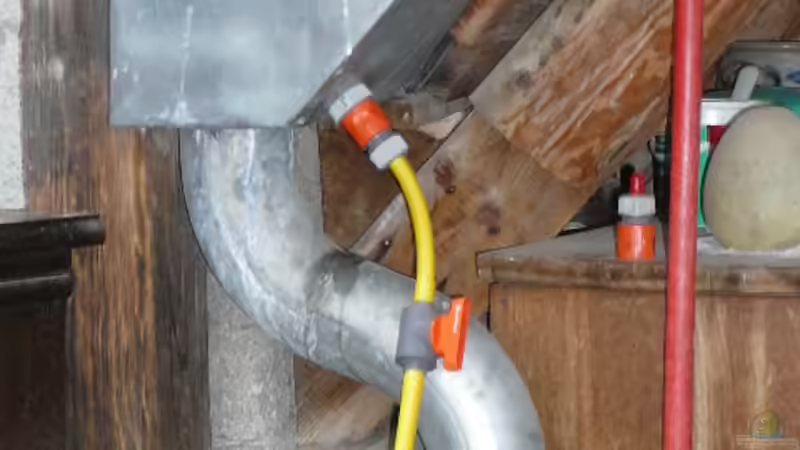 Die Alternative: Regenwassernutzung im Aquarium