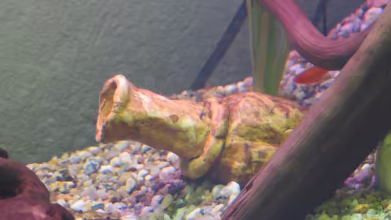 Die Amphore mit kleinem Schwertträger von Joni_99 (11)