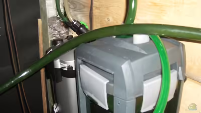 die anderen 2 Außenfilter von Erich Beer (13)