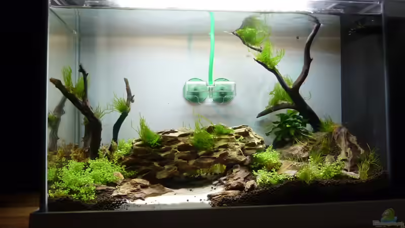 Die Anfänge... von Martin W. (5)