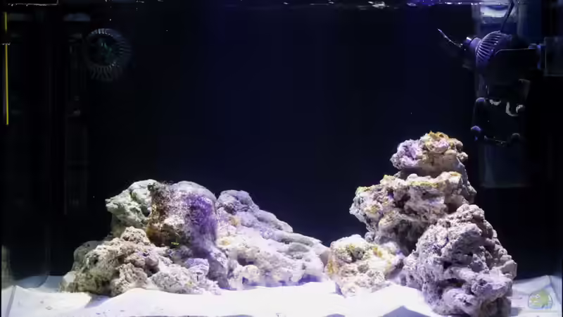 die Anfänge von die Perle... (2)