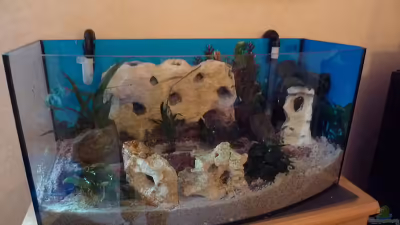 Die Anzahl der Verstecke wird erweitert von Couro (8)