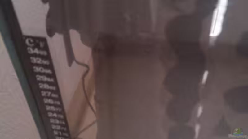 Die Aquael Pumpe im HMF von Harry Nemitz (30)